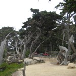 Ghost Tree
